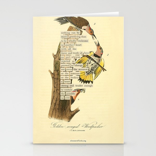Bird Divinations: Golden-Winged Woodpecker (about: almanacofbirds.org) Stationery Card Gallery Image 1