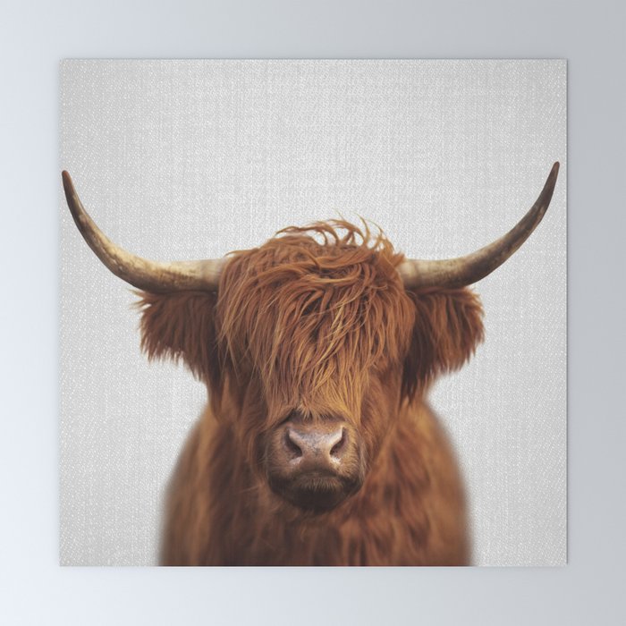 Highland Cow - Colorful Mini Art Print Gallery Image 6