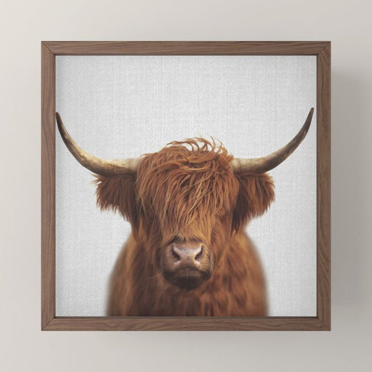 Highland Cow - Colorful Mini Art Print Gallery Image 2