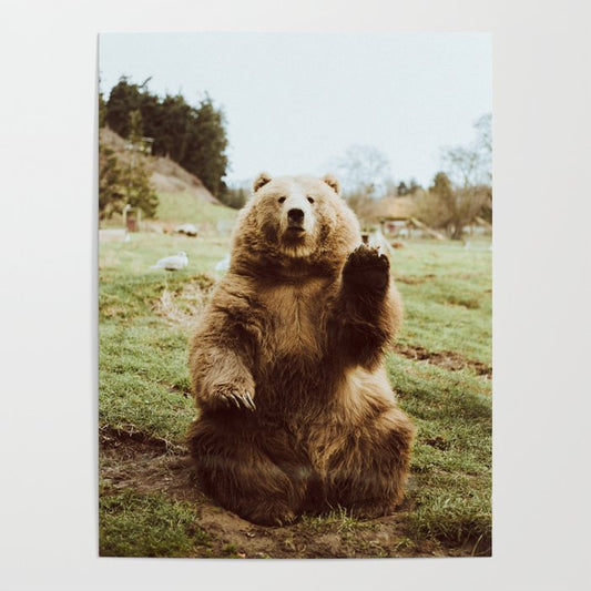 Hi Bear Poster Gallery Image 2