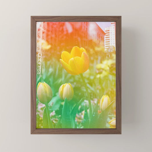 Center of the Universe Mini Art Print Gallery Image 2