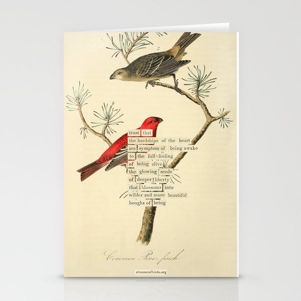 Bird Divinations: Pine Finch (about: almanacofbirds.org) Stationery Card Gallery Image 1