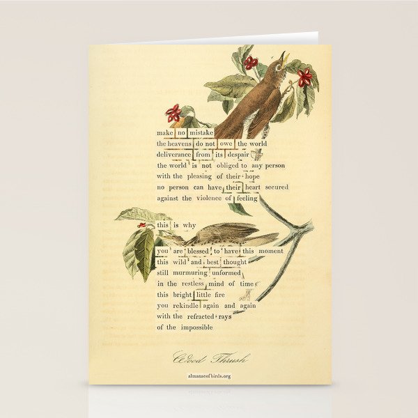 Wood Thrush Divination from # An Almanac of Birds # Divinations for Uncertain Days Art Print Stationery Card Gallery Image 1