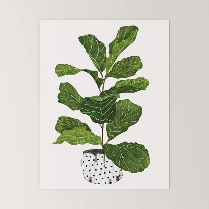Fiddle leaf fig Tree Mini Art Print Gallery Image 6