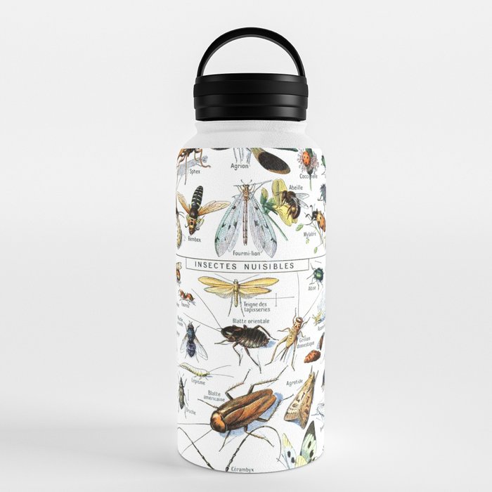 Insects Illustrations by Millot and Larousse Water Bottle Gallery Image 6