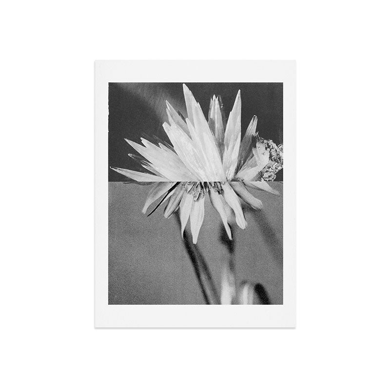 Paired Frames - Flower Art Print Gallery Image 7