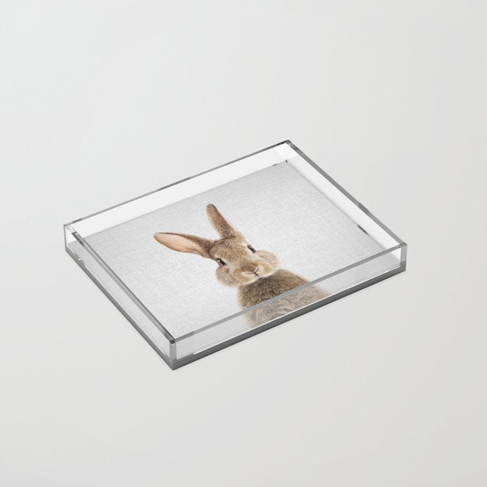 Rabbit - Colorful Acrylic Tray Gallery Image 2