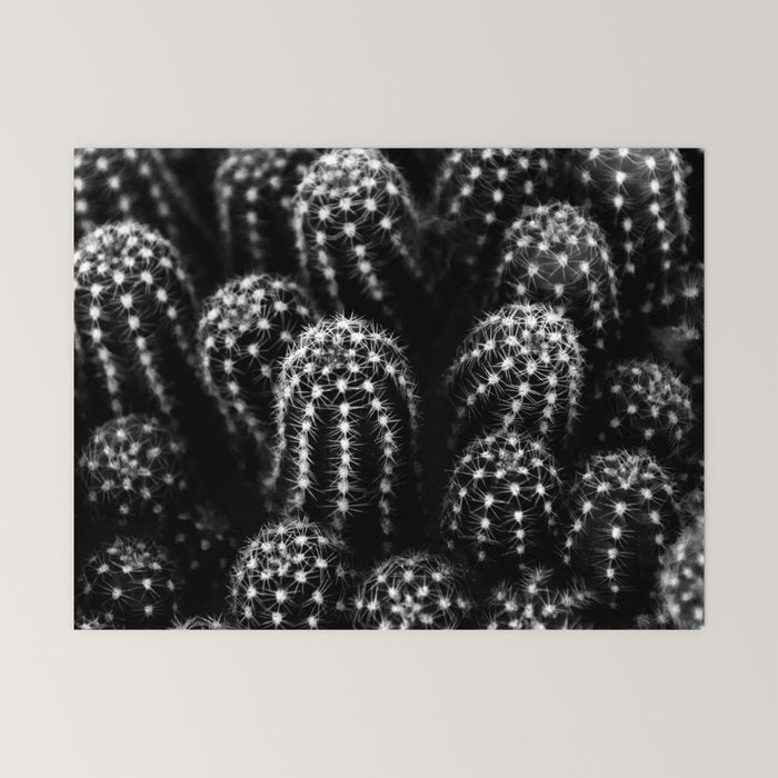 Cactus nature XIII Mini Art Print Gallery Image 6
