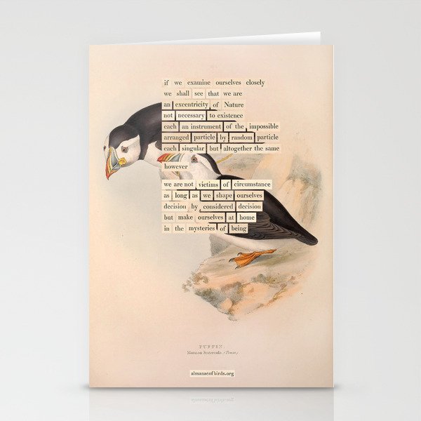 Bird Divinations: Puffin (about: almanacofbirds.org) Stationery Card Gallery Image 1