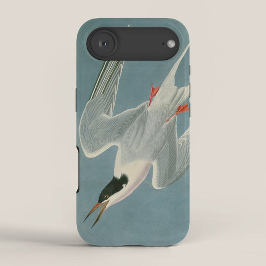 Roseate Tern - John James Audubon Birds of America iPhone Case Gallery Image 2