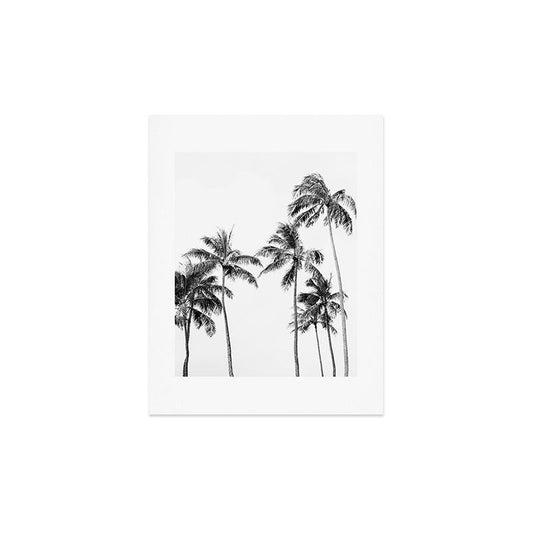 Palm Trees - Black and White Photography Art Print Gallery Image 2