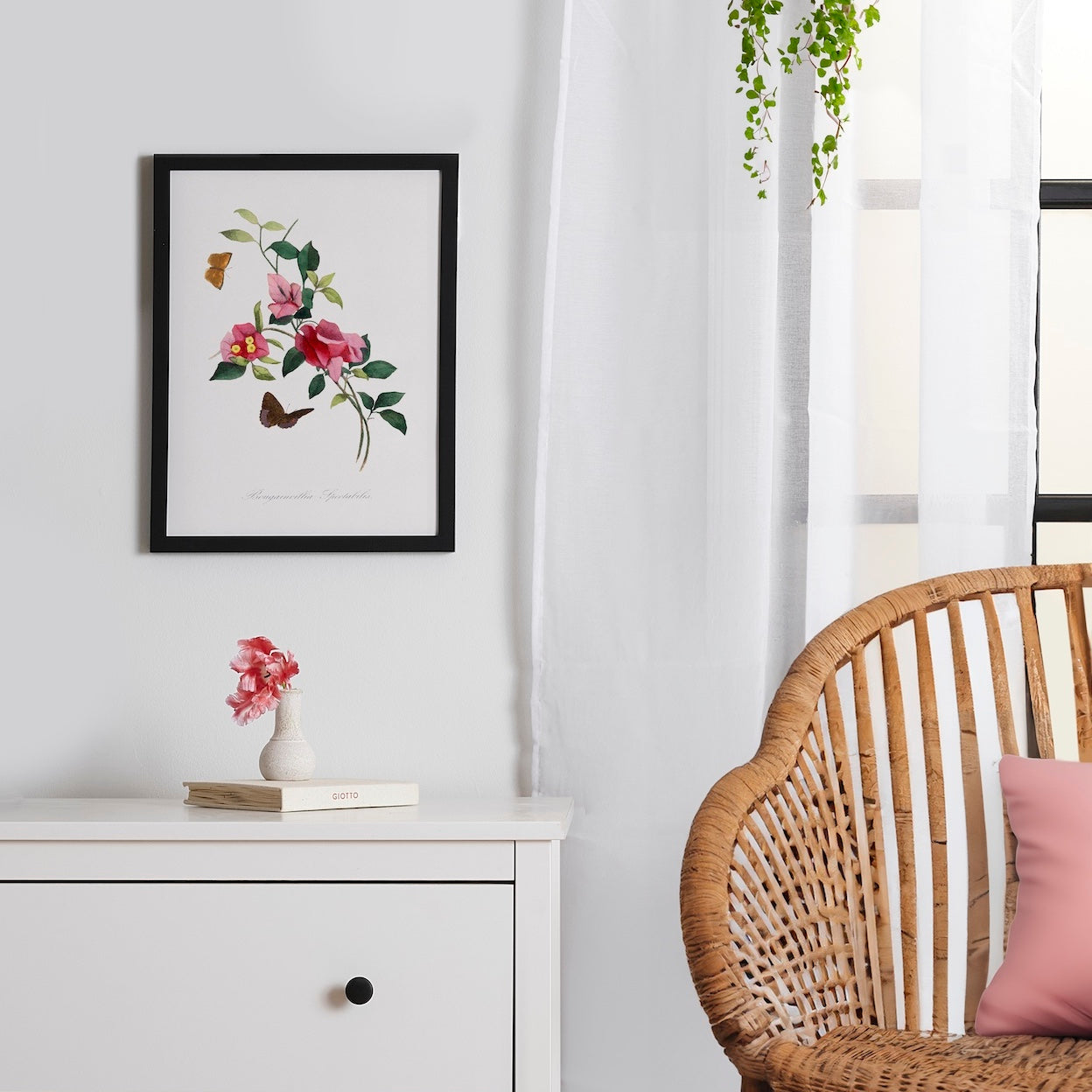 Bougainvillea by Paul Gervais Framed Poster 12x16