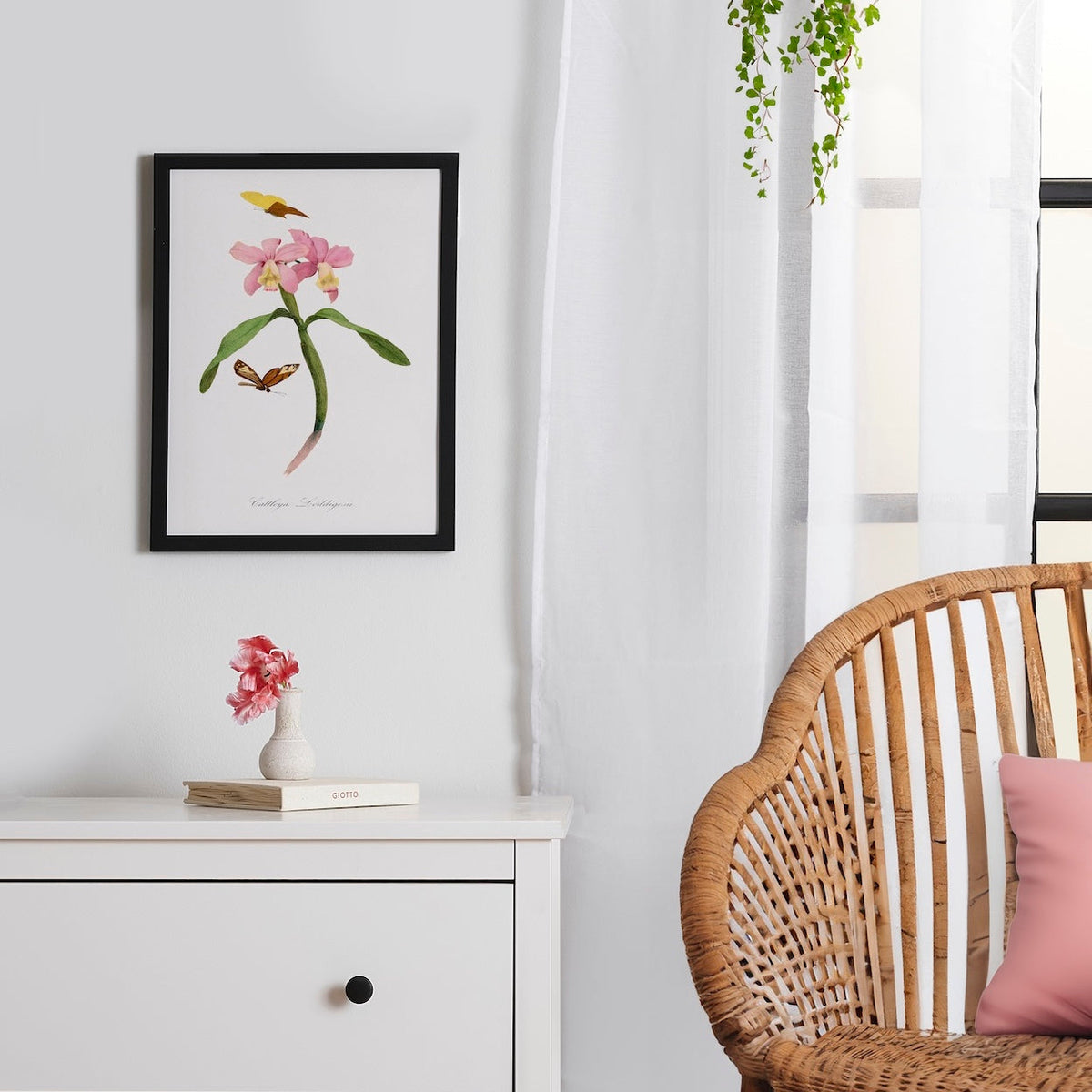 Cattleya Orchids By Paul Gervais Framed Poster 12x16