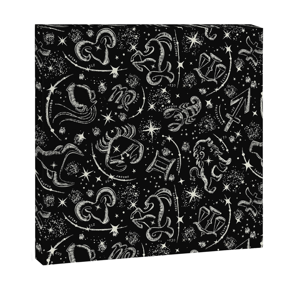 Star Child Canvas Print Gallery Image 9