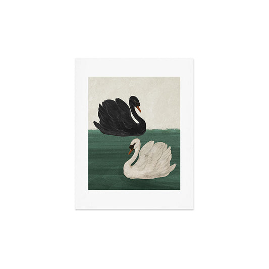 Black Swan White Swan Art Print Gallery Image 2