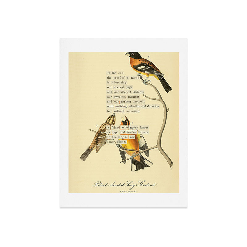 Bird Divinations: Black-headed Song-grosbeak (about: almanacofbirds.org) Art Print Gallery Image 7