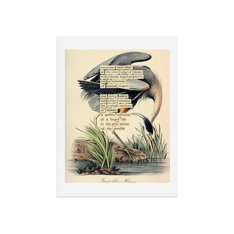 Bird Divinations: Great Blue Heron (about: almanacofbirds.org) Art Print Gallery Image 7