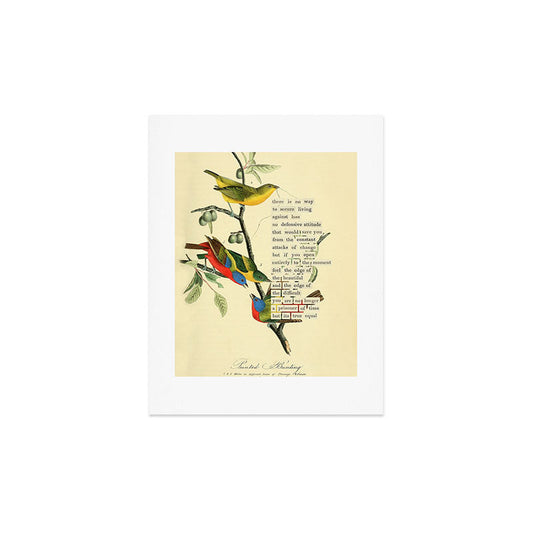Painted Bunting from 'An Almanac of Birds - Divinations for Uncertain Days' (almanacofbirds.org) Art Print Gallery Image 2