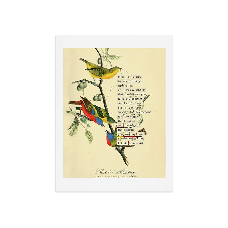 Painted Bunting from 'An Almanac of Birds - Divinations for Uncertain Days' (almanacofbirds.org) Art Print Gallery Image 7