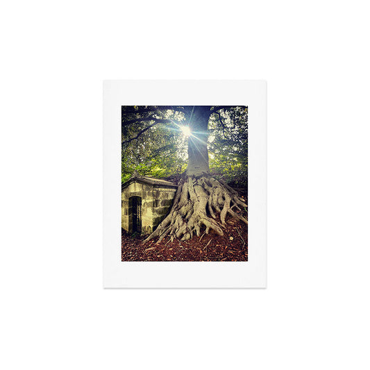 Possible Certainties Art Print Gallery Image 2