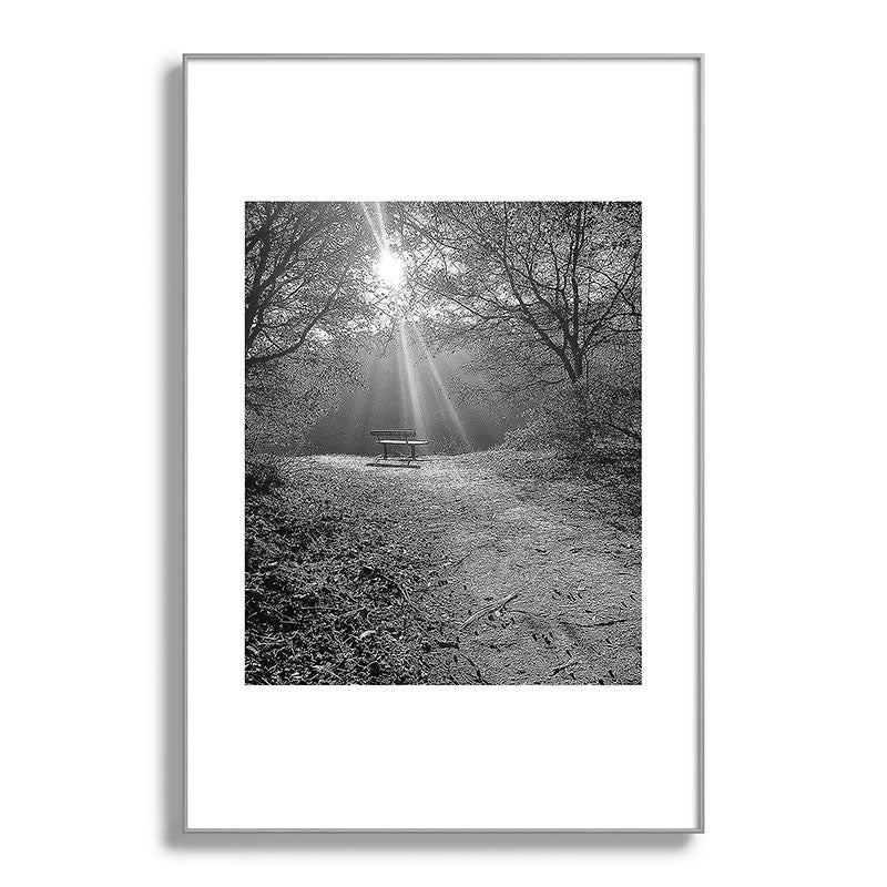 "Sunlit Solitude" by Maria Popova Framed Art Print Gallery Image 101