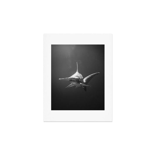 Hammerhead Shark (Black and White) Art Print Gallery Image 2