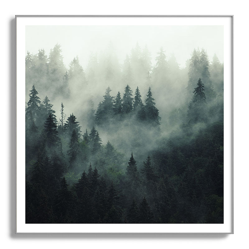 Green misty mountain pine forest in cloudy and rainy - vintage style photo Framed Art Print Gallery Image 142