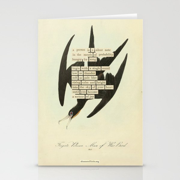 Bird Divinations: Frigate Pelican (about: almanacofbirds.org) Stationery Card Gallery Image 1