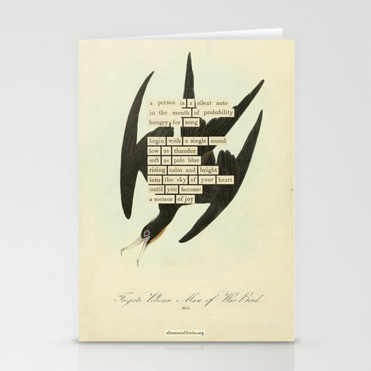 Bird Divinations: Frigate Pelican (about: almanacofbirds.org) Stationery Card Gallery Image 1