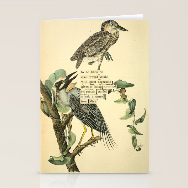 Bird Divinations: Yellow-Crowned Night Heron (about: almanacofbirds.org) Stationery Card Gallery Image 2