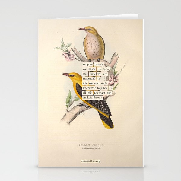 Bird Divinations: Golden Oriole (about: almanacofbirds.org) Stationery Card Gallery Image 1