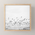 "Seagulls" | Coastal black and white photo | Film photography | Beach - square Mini Art Print Gallery Image 1