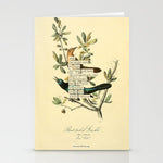Bird Divinations: Boat-Tailed Grackle (about: almanacofbirds.org) Stationery Card Gallery Image 1