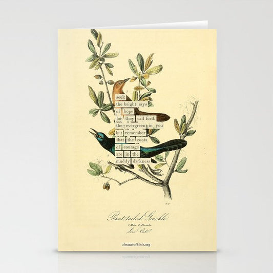 Bird Divinations: Boat-Tailed Grackle (about: almanacofbirds.org) Stationery Card Gallery Image 2