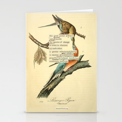 Bird Divinations: Passenger Pigeon (about: almanacofbirds.org) Stationery Card Gallery Image 1