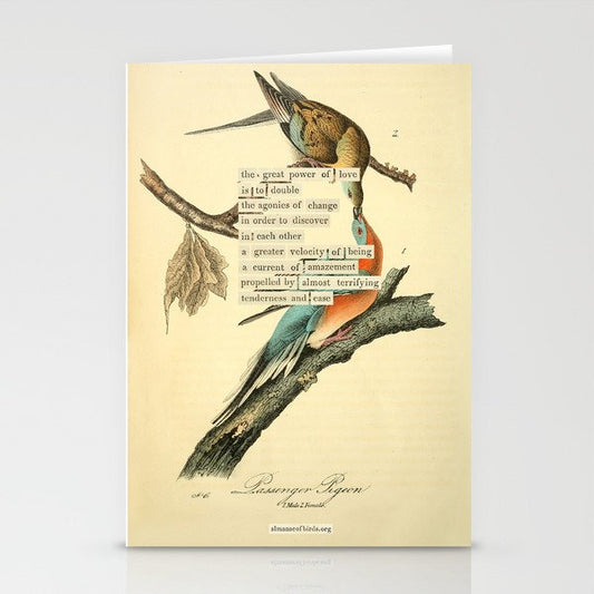Bird Divinations: Passenger Pigeon (about: almanacofbirds.org) Stationery Card Gallery Image 1