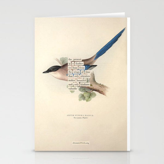 Bird Divinations: Azure Magpie (about: almanacofbirds.org) Stationery Card Gallery Image 1