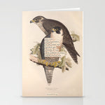 Bird Divinations: Peregrine Falcon (about: almanacofbirds.org) Stationery Card Gallery Image 1