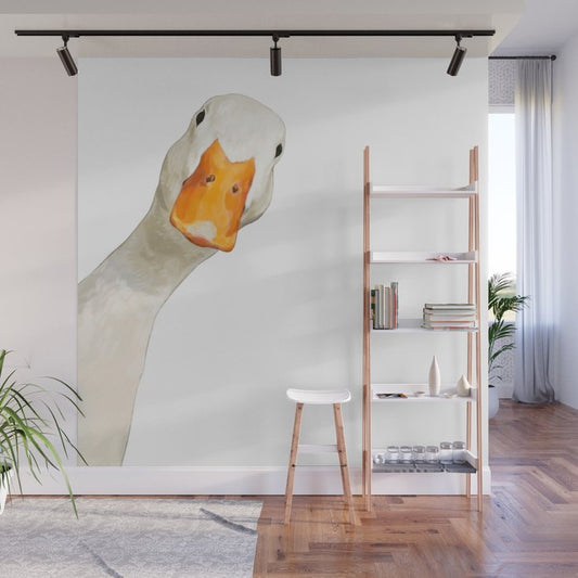 Sneaky White Duck Wall Mural Gallery Image 1
