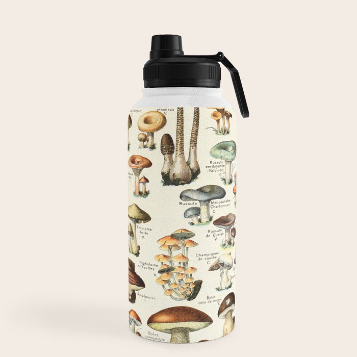 Vintage Mushroom & Fungi Chart by Adolphe Millot Water Bottle Gallery Image 5