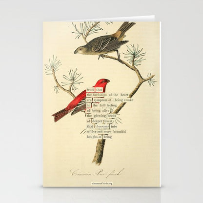 Bird Divinations: Pine Finch (about: almanacofbirds.org) Stationery Card Gallery Image 2
