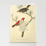 Bird Divinations: Pine Finch (about: almanacofbirds.org) Stationery Card Gallery Image 1