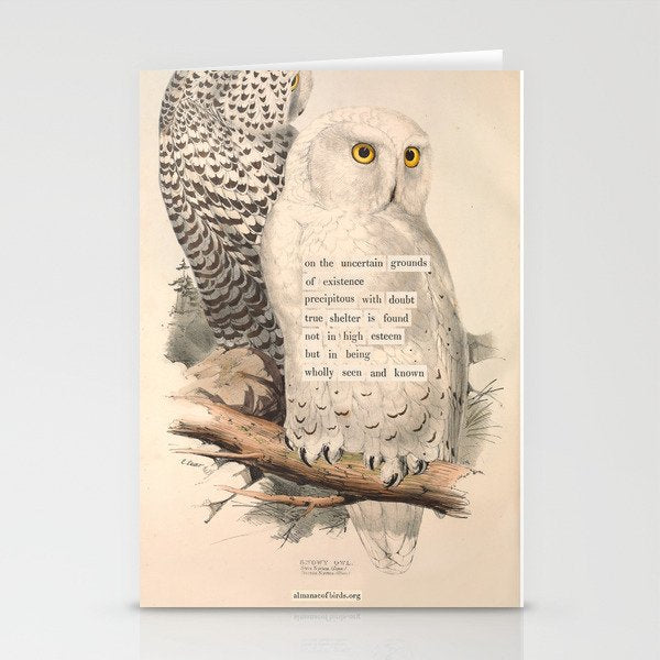 Bird Divinations: Snowy Owl (about: almanacofbirds.org) Stationery Card Gallery Image 1