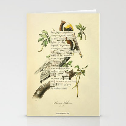 Bird Divinations: Brown Pelican (about: almanacofbirds.org) Stationery Card Gallery Image 2