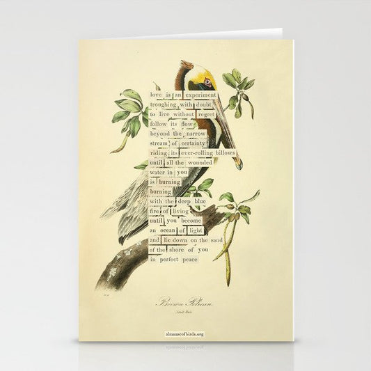 Bird Divinations: Brown Pelican (about: almanacofbirds.org) Stationery Card Gallery Image 2