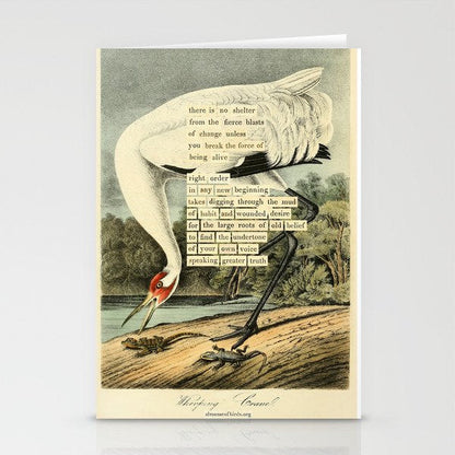 Bird Divinations: Whooping Crane (about: almanacofbirds.org) Stationery Card Gallery Image 2