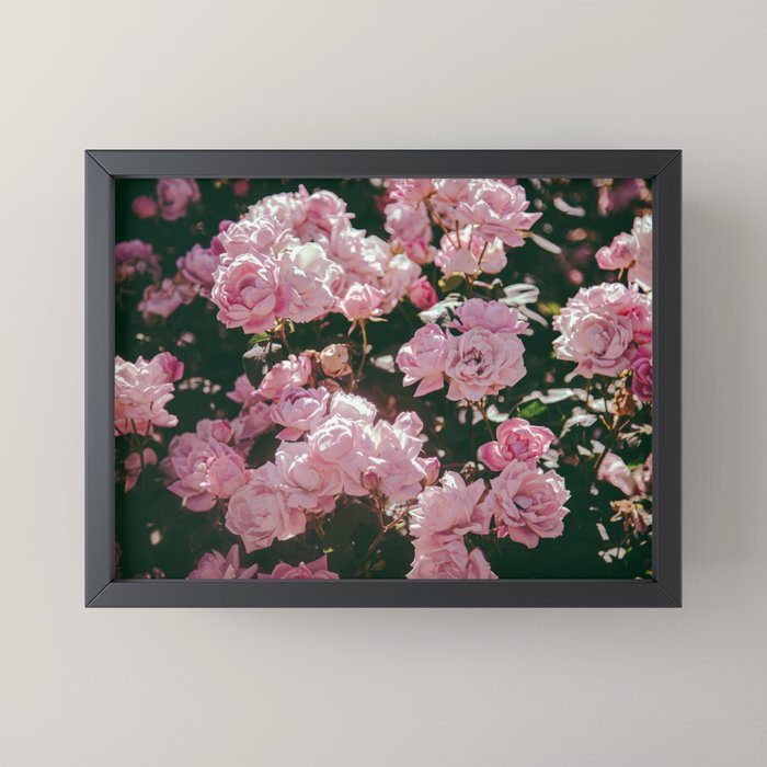 Light Pink Roses Mini Art Print Gallery Image 3
