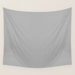 Light Gray Solid. Silver Minimalism Wall Tapestry Gallery Image 1