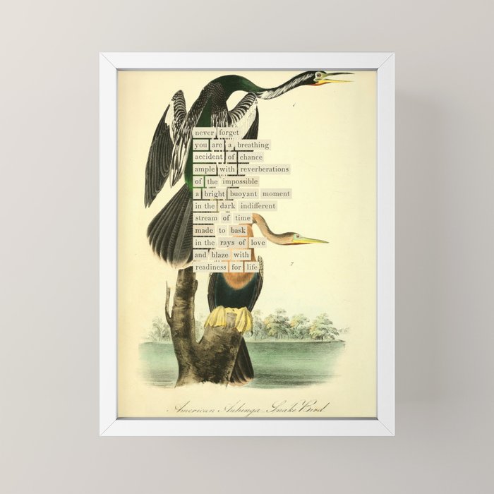Bird Divinations: Snake Bird (about: almanacofbirds.org) Mini Art Print Gallery Image 4