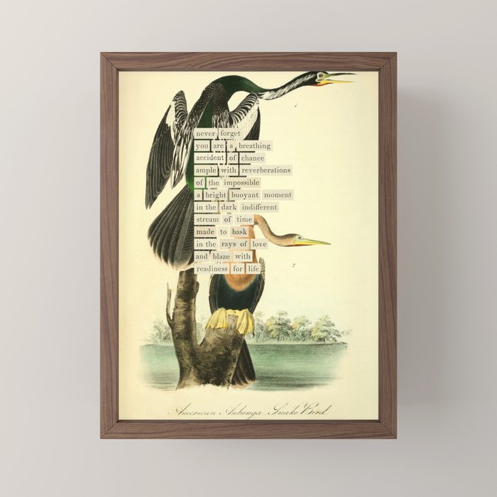 Bird Divinations: Snake Bird (about: almanacofbirds.org) Mini Art Print Gallery Image 2